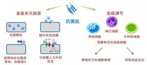 泰倍健——新型免疫增強劑，構(gòu)建核心抗病力